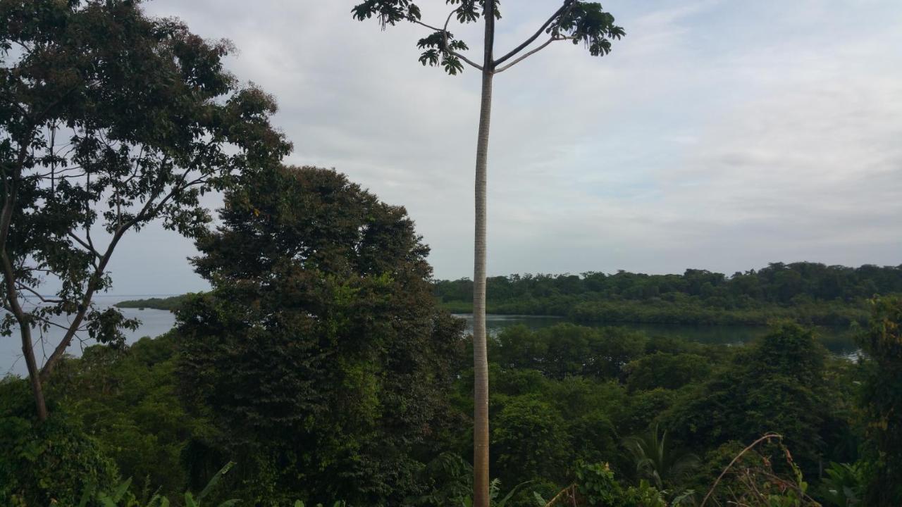 Panama Eco Resort Tierra Oscura Buitenkant foto