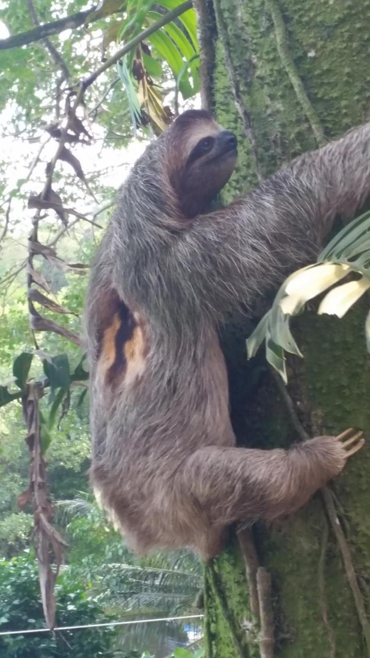 Panama Eco Resort Tierra Oscura Buitenkant foto