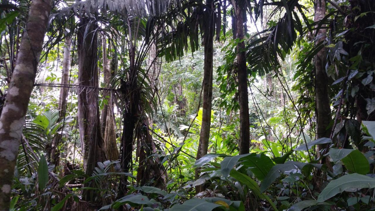Panama Eco Resort Tierra Oscura Buitenkant foto
